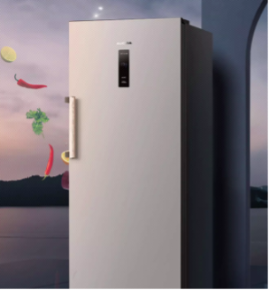 年轻人的第一台冰箱，澳柯玛232立式冷柜上市