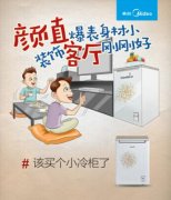 家有美的小冷柜 鲜食、面膜储存无烦恼