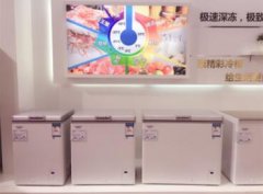 重新定义家用冷柜  澳柯玛展出-40℃深冷冷柜