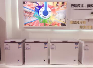 重新定义家用冷柜 澳柯玛展出-40℃深冷冷柜