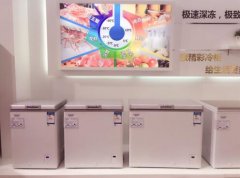 重新定义家用冷柜澳柯玛展出-40℃深冷速冻冷柜